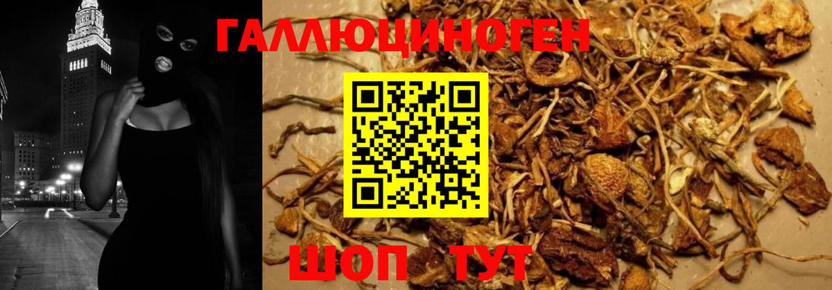 Галлюциногенные грибы MAGIC MUSHROOMS Ялуторовск